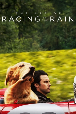 The Art of Racing in the Rain