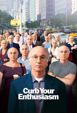 Larry David: Curb Your Enthusiasm